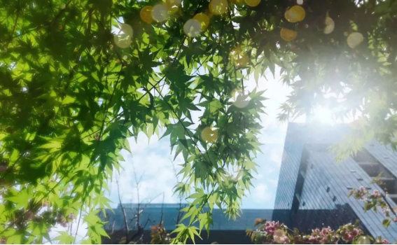 abpay爱博钱包官网 - 极致清静